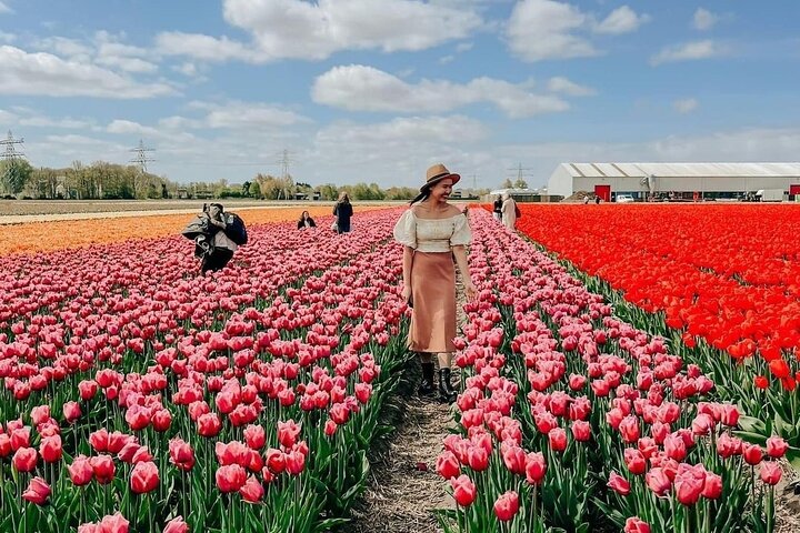 Visitors photographing pink and red tulips in the flower fields at De Tulperij