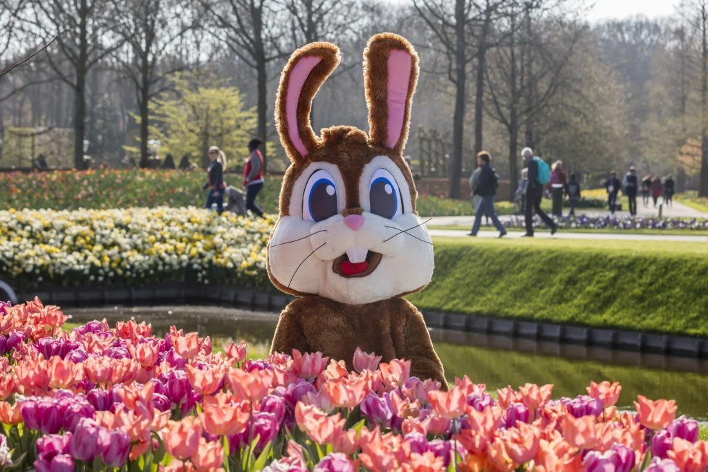 Easter bunny standing among colourful tulips at Keukenhof